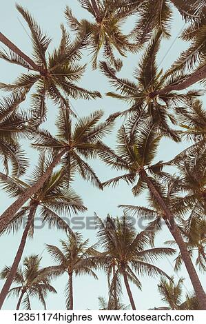 Stock Photograph - Nature. Fotosearch