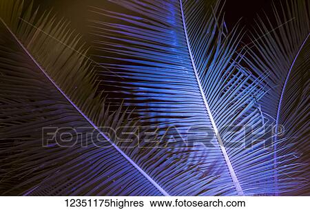 Nature View Large Photo Image Stock Photograph - Nature. Fotosearch