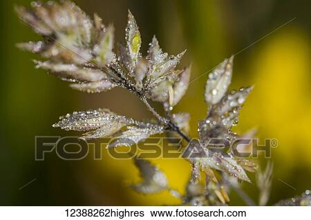 Nature View Large Photo Image Stock Photograph - Nature. Fotosearch