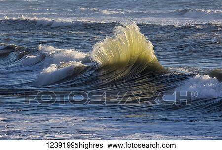 Stock Photograph - Nature. Fotosearch