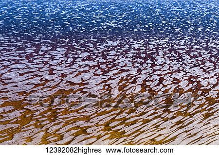 Stock Photograph - Nature. Fotosearch