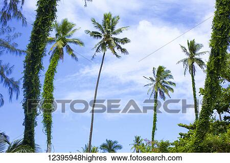 Stock Photograph - Nature. Fotosearch