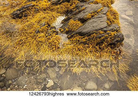 Nature View Large Photo Image Stock Photograph - Nature. Fotosearch