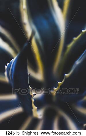 Stock Photograph - Nature. Fotosearch