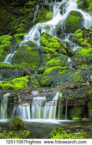 Norm's Falls cascading over moss covered rocks in Winner Creek Trail in summertime, Chugach National Forest, South-central Alaska; Girdwood, Alaska, United States of America View Large Photo Image Stock Photograph - Norm's Falls cascading over moss covered rocks in Winner Creek Trail in summertime, Chugach National Forest, South-central Alaska; Girdwood, Alaska, United States of America. Fotosearch