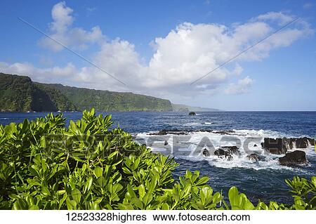 Stock Photograph - North shore of Maui viewed from Keanae Peninsula; Keanae, Maui, Hawaii, United States of America. Fotosearch