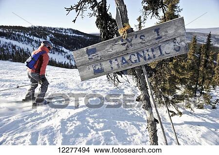 Old signs Mt. Aurora Skiland near Cleary Summit north of Fairbanks, Alaska View Large Photo Image Picture - Old signs Mt. Aurora Skiland near Cleary Summit north of Fairbanks, Alaska. Fotosearch