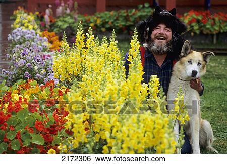 Old-Timer Poses With A Dog Next To Flower Garden In Skagway In Southeast, Alaska During Summer View Large Photo Image Stock Photograph - Old-Timer Poses With A Dog Next To Flower Garden In Skagway In Southeast, Alaska During Summer. Fotosearch