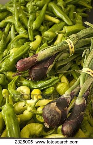 Organic green onions bundled on a pile of jalapeño peppers; British Columbia, Canada View Large Photo Image Stock Photography - Organic green onions bundled on a pile of jalapeño peppers; British Columbia, Canada. Fotosearch