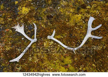 Other View Large Photo Image Stock Photograph - Other. Fotosearch