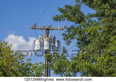 Stock Photograph - Overhead power lines and transformers in a blue sky with trees surrounding it; Connecticut, United States of America. Fotosearch