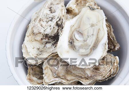 Oyster shells in a white bowl; Alaska, United States of America View Large Photo Image Stock Photograph - Oyster shells in a white bowl; Alaska, United States of America. Fotosearch