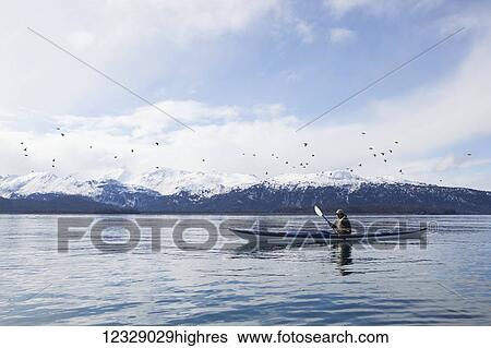 Stock Photograph - Paddling in a canoe on tranquil water with a flock of birds flying overhead and a view of the snow capped Kenai Mountains, Kachemak Bay State Park; Alaska, United States of America. Fotosearch