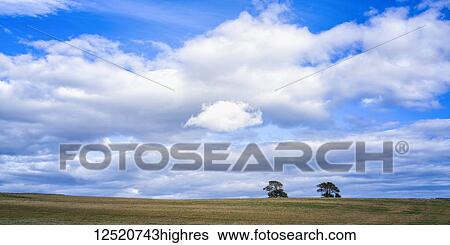 Stock Photograph - Panorama of cumulous clouds and harvested barley fields near Rockfield; Scotland. Fotosearch