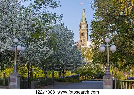 Parliament buildings seen from Majors Hill Park; Ottawa, Ontario, Canada View Large Photo Image Stock Photo - Parliament buildings seen from Majors Hill Park; Ottawa, Ontario, Canada. Fotosearch