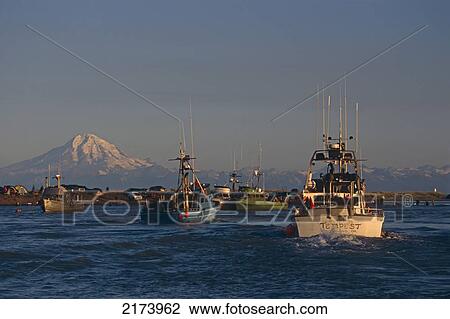 People Dipnetting On Kasilof River W/Commercial Fishing Boat Background. Kenai Peninsula, Alaska. View Large Photo Image Stock Image - People Dipnetting On Kasilof River W/Commercial Fishing Boat Background. Kenai Peninsula, Alaska.. Fotosearch
