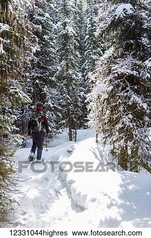 Stock Photograph - People-Middle Aged (40-60). Fotosearch