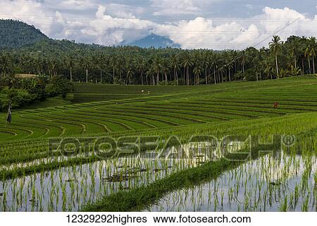 Stock Photograph - People. Fotosearch