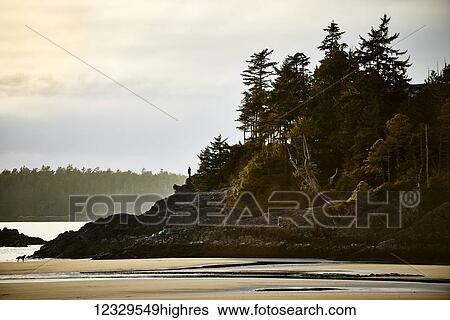 Stock Photograph - People. Fotosearch