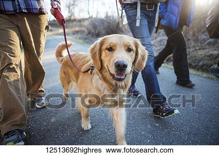 Stock Photograph - People walking on a trail with a dog; Anchorage, Alaska, United States of America. Fotosearch