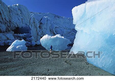 Person Next To Icebergs @ Glacier Bay Np Se Alaska Summer Scenic View Large Photo Image Stock Image - Person Next To Icebergs @ Glacier Bay Np Se Alaska Summer Scenic. Fotosearch