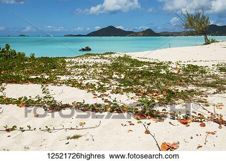 Personal watercraft at Jolly Harbour beach; Antigua and Barbuda View Large Photo Image Stock Photograph - Personal watercraft at Jolly Harbour beach; Antigua and Barbuda. Fotosearch