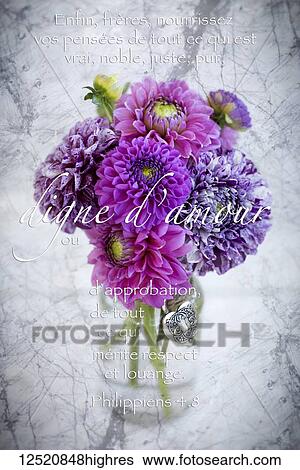 Philippians 4: 8 'whatever is lovely' in French with a bouquet of dahlias View Large Photo Image Stock Photograph - Philippians 4: 8 'whatever is lovely' in French with a bouquet of dahlias. Fotosearch