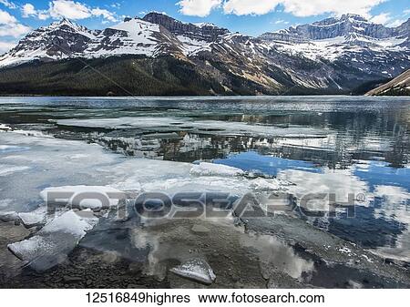 Stock Photograph - Pieces of ice broken along the shoreline of Bow Lake with the Rocky Mountains reflected in the water, Banff National Park; Alberta, Canada. Fotosearch