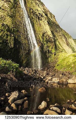 Punlulu Waterfall, Lapahoehoe Nui Valley, Hamakua Coast; Island of Hawaii, Hawaii, United States of America View Large Photo Image Stock Photograph - Punlulu Waterfall, Lapahoehoe Nui Valley, Hamakua Coast; Island of Hawaii, Hawaii, United States of America. Fotosearch
