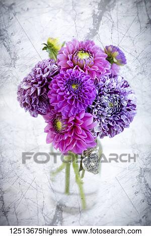 Stock Photograph - Purple marbled dahlia's arranged in a glass jar on a marble counter. Fotosearch