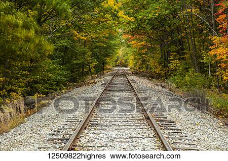 Stock Photograph - Railroad tracks along the Saco River lined with trees in autumn coloured foliage, White Mountains National Forest; New England, United States of America. Fotosearch