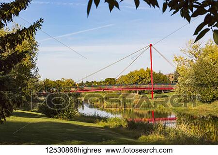Stock Photograph - Red suspended walking bridge crossing the Sturgeon River at Lion's Park; St. Albert, Alberta, Canada. Fotosearch