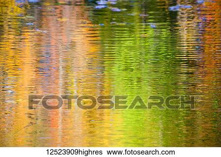 Stock Photograph - Reflection of autumn colours on the surface of a pond; Chagrin Falls, Ohio, United States of America. Fotosearch