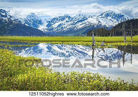 Reflection of Chugach Mountains in a tranquil lake; Alaska, United States of America View Large Photo Image Stock Photograph - Reflection of Chugach Mountains in a tranquil lake; Alaska, United States of America. Fotosearch
