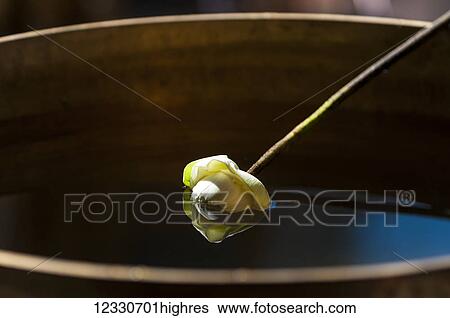 Religious View Large Photo Image Stock Photograph - Religious. Fotosearch
