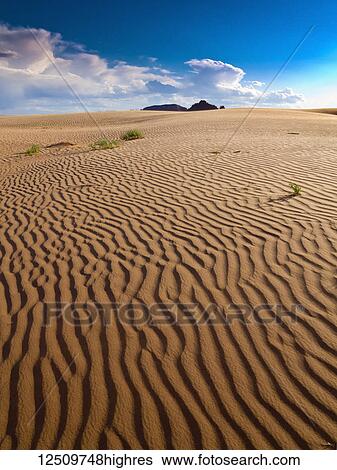Ripples in a sandy summer desert scene; Hanksville, Utah, United States of America View Large Photo Image Stock Photograph - Ripples in a sandy summer desert scene; Hanksville, Utah, United States of America. Fotosearch