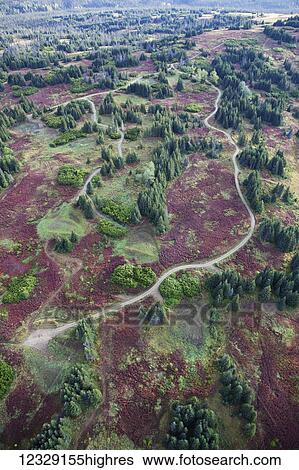 Stock Photograph - Roads. Fotosearch