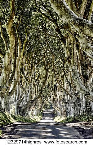 Roads View Large Photo Image Stock Photograph - Roads. Fotosearch