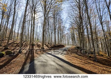 Stock Photograph - Roads. Fotosearch