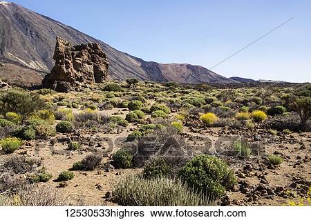 Rock formation and arid landscape of Mount Teide, the third highest volcanic structure in the world, with cable car up to mountain top seen in top left; Tenerife, Canary Islands, Spain View Large Photo Image Stock Photograph - Rock formation and arid landscape of Mount Teide, the third highest volcanic structure in the world, with cable car up to mountain top seen in top left; Tenerife, Canary Islands, Spain. Fotosearch