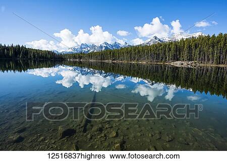 Rocky Mountains and forest reflected in the tranquil water of Hector Lake; Alberta, Canada View Large Photo Image Stock Photograph - Rocky Mountains and forest reflected in the tranquil water of Hector Lake; Alberta, Canada. Fotosearch