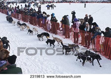 Ryan Redington Team Leaves The Start Line During The Restart Day Of Iditarod 2009 In Willow, Alaska View Large Photo Image Stock Image - Ryan Redington Team Leaves The Start Line During The Restart Day Of Iditarod 2009 In Willow, Alaska. Fotosearch