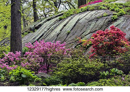 Stock Photograph - Scenic. Fotosearch