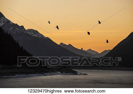 Stock Photograph - Scenic. Fotosearch