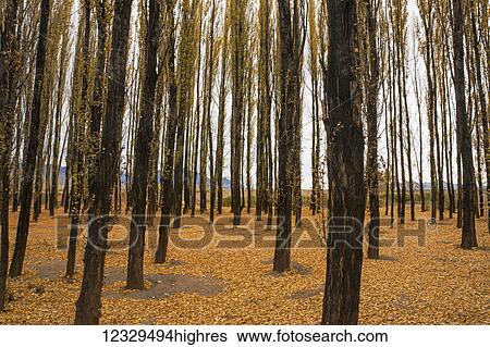 Scenic View Large Photo Image Stock Photograph - Scenic. Fotosearch