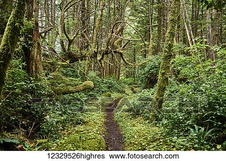 Stock Photograph - Scenic. Fotosearch