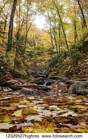 Stock Photograph - Scenic. Fotosearch