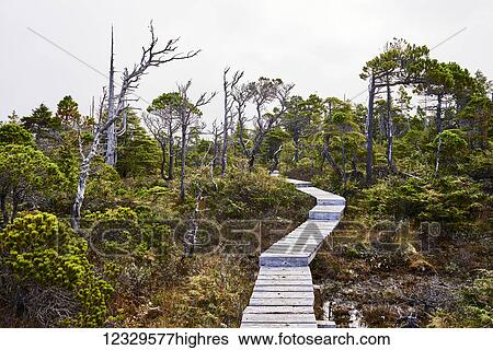 Scenic View Large Photo Image Stock Photograph - Scenic. Fotosearch