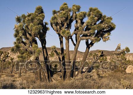 Stock Photograph - Scenic. Fotosearch