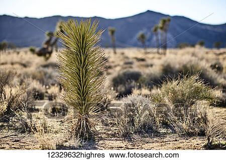 Scenic View Large Photo Image Stock Photograph - Scenic. Fotosearch